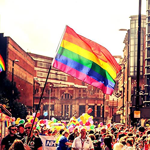 HLJS Bandera de arco iris gay Pride Progress Pride Rainbow Bandera, grande para interiores y exteriores, LGBT, perfecta para el Día del Orgullo Gay, decoración de festivales, 90 x 150 cm