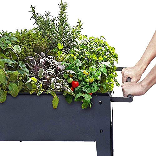 KHOMO GEAR Huerto Urbano Carrito Galvanizado Elevado para Cultivo en Casa Plantas Frutas Verduras Terraza Jardín Interior Exterior - Negro