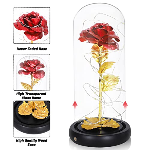 La Bella y la Bestia Rose, Red Silk Rose en Dome Glass con 20 LED Fairy Lights String, Romántica Sorpresa para el Día de San Valentín, Valentine, Aniversario de Bodas, Navidad, Regalos día de la Madre