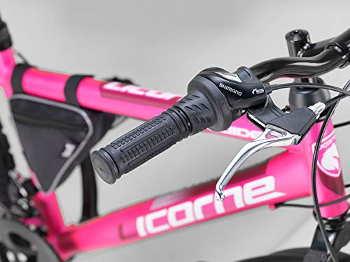 BICICLETA 24 PULGADAS MTB NIÑA ACERO ECO LADY ROSA