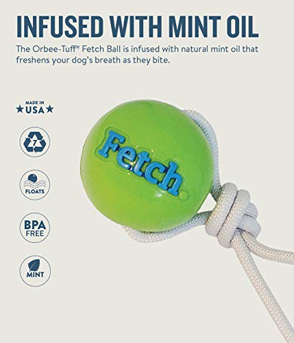 Planet Dog Orbee-Tuff Fetch - Pelota con cuerda para perros - Verde