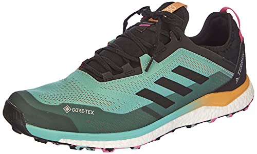 adidas Terrex Agravic Flow GTX, Zapatillas de Trail Running Hombre, MENACI/NEGBÁS/ROSCHI, 41 1/3 EU