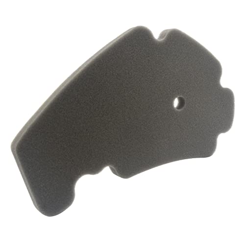 AHL Motocicleta Filtro de Aire compatible con Gilera Nexus 250 2006-2008/Gilera Nexus 250 SP 2006-2007/Gilera Nexus 300 2008-2011/Gilera FUOCO 500 2007-2013/Malaguti Madison 3 125 2006-2009