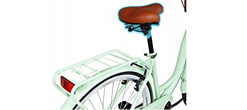 BDW Bicicleta de ciudad y trekking para mujer, de 28 pulgadas, para ciudad, trekking, 6 velocidades Shimano, cesta KOSTELNOS (verde)