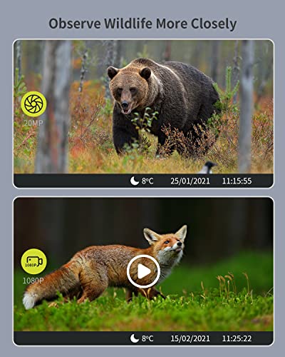 Cámara de Caza 1080P 20MP, Fototrampeo Caza Impermeable de Infrarrojos de Bajo Brillo IP66 de 850nm, Utilizada para Cazar y Observar Actividades al Aire Libre Animales Salvajes