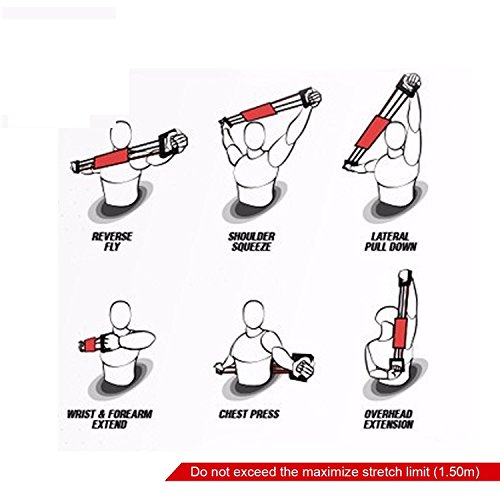 Ducomi Extensor Entrenamiento Pectoral Ajustable - Bandas Elásticas de Resistencia - Ejercicios con Extensores de Musculacion 50 kg