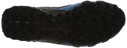 Dynafit Feline SL GTX, Zapatillas de Running Hombre, Carbon/Frost, 43 EU