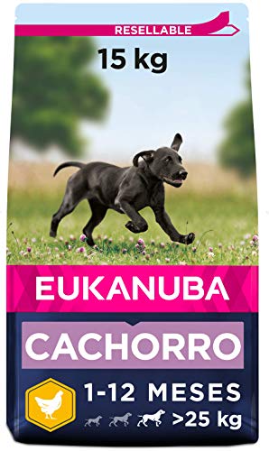 Eukanuba Alimento seco para cachorros de raza grande, rico en pollo fresco 15 kg