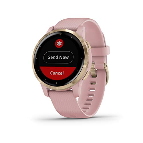 Garmin vívoactive 4S - Reloj Inteligente con GPS y Funciones de Control de la Salud Durante Todo el día, Color Rosa de Polvo/Oro Claro 010-02172-32