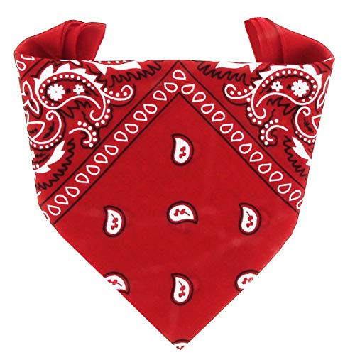 HBselect 12 Piezas Unisex Bandana Cabeza Hombre Pañuelos Cuello