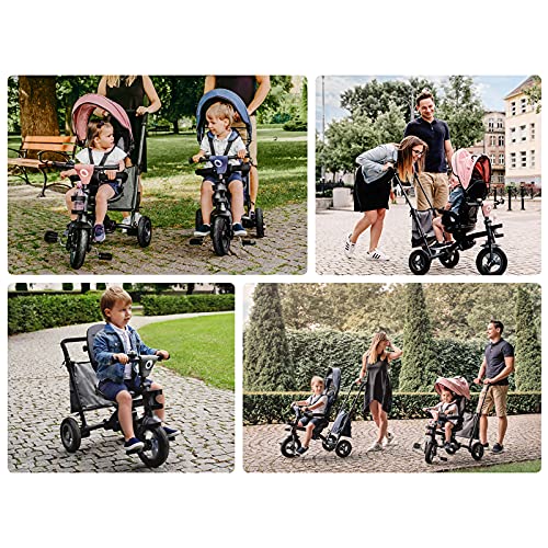 LIONELO Tris Bicicleta 2 en 1 Niño hasta 25 kg 12-60M Triciclo y carrito- bicicleta Cinturones de 3 puntos con fundas Regulación gradual del respaldo de 3 niveles Gris oscuro