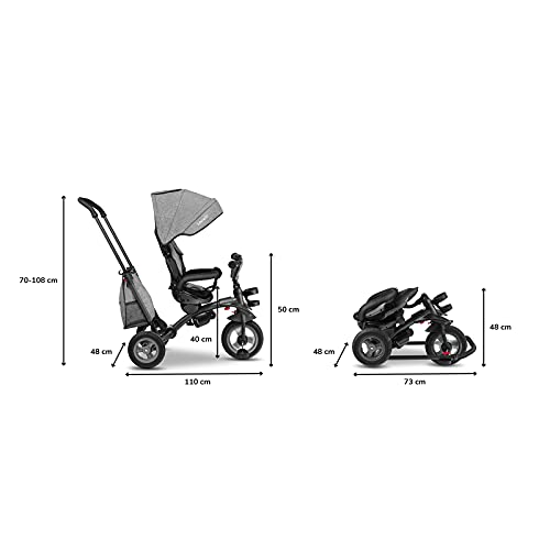 LIONELO Tris Bicicleta 2 en 1 Niño hasta 25 kg 12-60M Triciclo y carrito- bicicleta Cinturones de 3 puntos con fundas Regulación gradual del respaldo de 3 niveles Gris oscuro