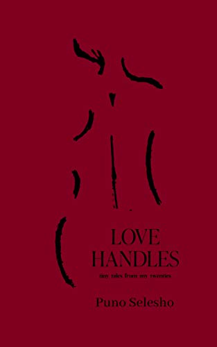 Love Handles: tiny tales from my twenties (English Edition)