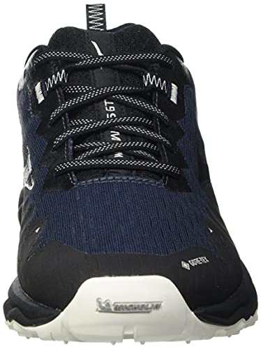 Mizuno Wave Daichi 6 GTX, Zapatillas para Carreras de montaa Hombre, Indiaink Pgold Negro, 44 EU