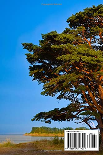 Notebook: A Gnarly Tree On The Beach , Journal for Writing, College Ruled Size 6" x 9", 110 Pages