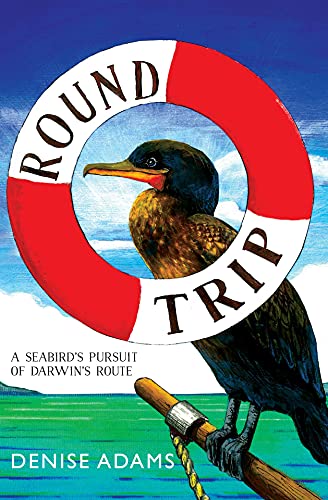 Round Trip (English Edition)