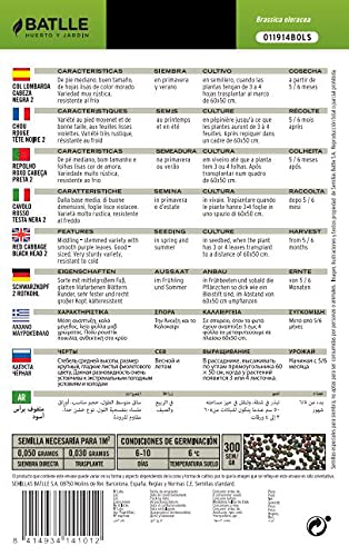 Semillas Hortícolas - Col Lombarda Cabeza negra 2 - Batlle