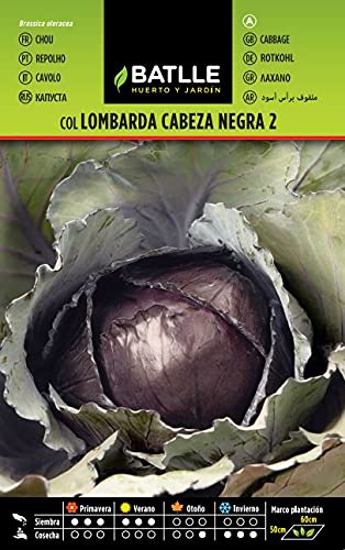 Semillas Hortícolas - Col Lombarda Cabeza negra 2 - Batlle