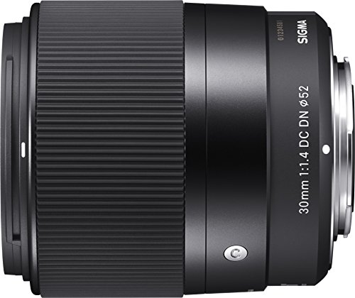 Sigma 30mm f/1.4 DC DN Contemporary - Objetivo estándar para el Sistema Sony Montura E, Color Negro