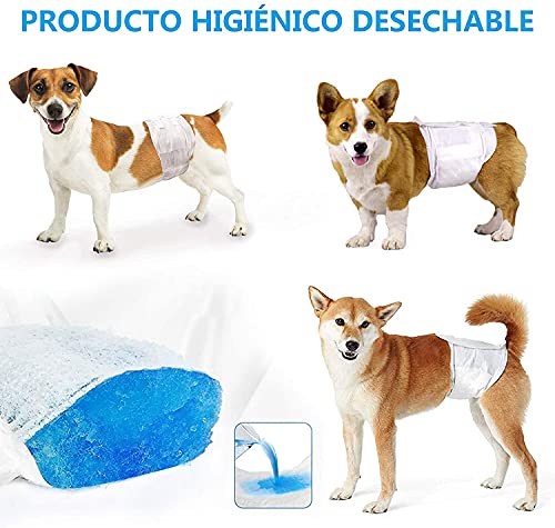 SMELL & SMILE Pañales Desechables para Perro Pañales para Perros Macho Pañal Sanitarios para Perro Mascotas Bragas Higiénicas Suaves absorbentes (M-20.5 * 61 CM)