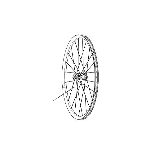 Sram MTB Roam 50 - Rueda para Bicicleta de montaña, Talla 26-Inch