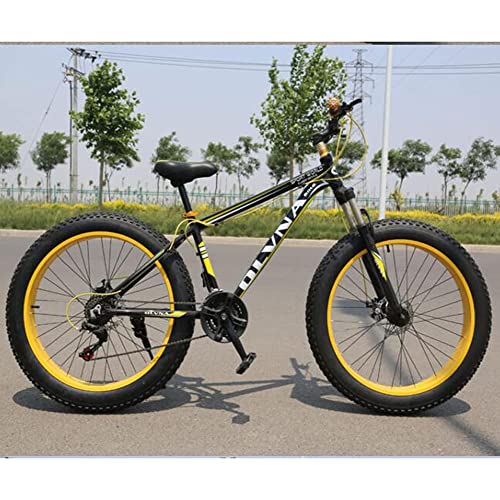 TBNB Bicicleta de montaña con neumáticos Gruesos de 20/26 Pulgadas, Bicicleta de Carretera al Aire Libre para Hombres y Mujeres Adultos, Bicicleta de Arena, 21-27 velocidades, Freno de Disco, hor