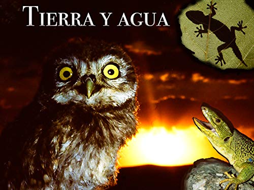 Tierra y agua