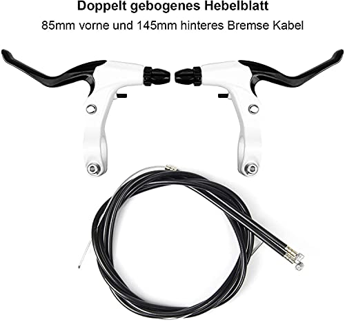 Yorbay Disco de Freno NV5 BD-09 160mm para Bicicleta Blanco con Kit de Tornillos (Negro) reutilizable