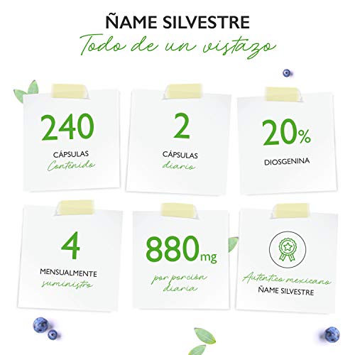 Extracto de raíz de ñame silvestre - 240 cápsulas (suministro para 4 meses) - Altamente dosificado con 880 mg de extracto (incluyendo 176mg de diosgenina) por dosis diaria - Vegano