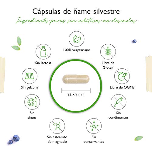 Extracto de raíz de ñame silvestre - 240 cápsulas (suministro para 4 meses) - Altamente dosificado con 880 mg de extracto (incluyendo 176mg de diosgenina) por dosis diaria - Vegano