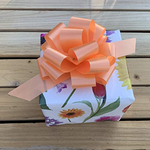 GiftWrap Etc. Lazos con Cintas para Tirar para Regalos de Pascua - 13 cm (5 in) de Ancho, Set de 9, Rosa Claro, Narciso, Azul Claro, Amarillo, Turquesa, Melón, Azul Piscina, Lavanda, Lima