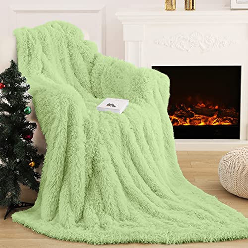 Manta Peluche, Manta Pelo Largo Mullida Súper Suaves y Cálidas, Manta Sofa PV y Franela de Doble Cara, Manta para Sofa, Cama, 130x160cm, Menta Verde