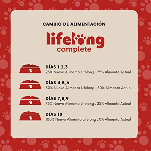 Marca Amazon - Lifelong Alimento completo para perros adultos - Selección de carne en salsa, 2,4 kg (24 bolsitas x 100g)