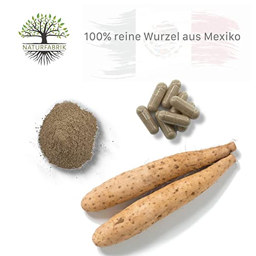 NATURFABRIK® Ñame silvestre mexicano | raíz pura de ñame de México | 180 cápsulas | 830 mg de porción diaria | alta dosis de hierbas | suministro para 3 meses | ñame mexicano