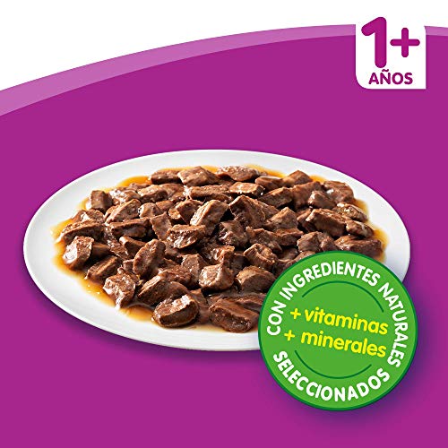 Whiskas Comida Húmeda para Gatos Selección Carnes en Gelatina, Multipack (4 cajas x 12 bolsitas x 100g)