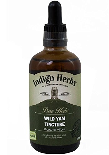 Wild Yam Tintura - 100ml - (Dioscorea villosa)