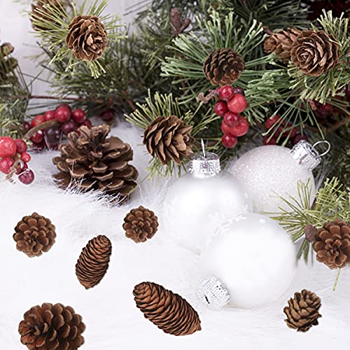 40 Piezas Piñas Decorativas Navidad, Paquete a Granel de Conos de Pino Secado Natural - Tmaño Grande Mediano y Pequeño, Piñas Decorativas para Mesa árbol Manualidades Regalos Halloween Navideña