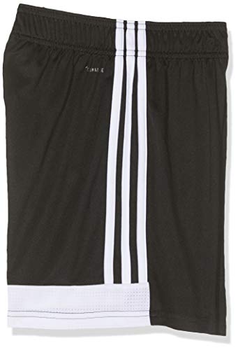 adidas Tastigo19 SHO Pantalones Cortos de Deporte, Hombre, Negro (Black/White), M