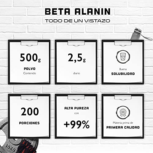 Beta Alanina - 500 g de polvo puro sin aditivos - +99% de pureza - 100% aminoácido Beta Alanina - Vegano