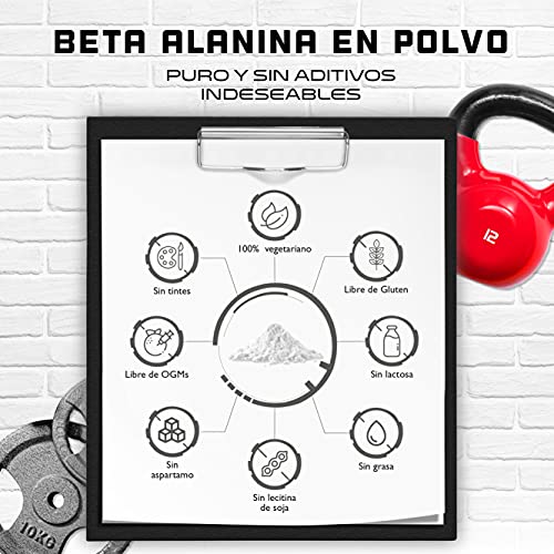 Beta Alanina - 500 g de polvo puro sin aditivos - +99% de pureza - 100% aminoácido Beta Alanina - Vegano