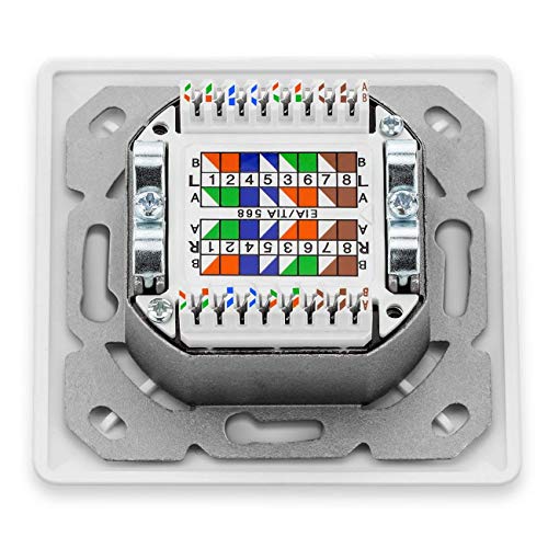 deleyCON 1x CAT 6a Universal Socket de Red - 2x Puerto RJ45 - Blindado - Superficie o Rasante - 10 Gigabit Ethernet Red - EIA/TIA 568B - Blanco