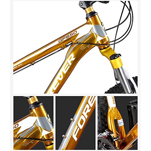 GAOTTINGSD Bicicleta de montaña Bicicletas Fat Tire Bike MTB Camino de la Bicicleta Adulto Agua Motos de Nieve Bicicletas for Hombres Mujeres (Color : Gold)