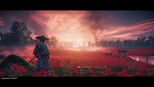 Ghost of Tsushima Director's Cut Ps5