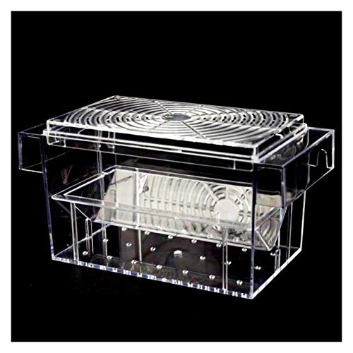 GUANGHEYUAN-J Caja Mini House Aquarius INCUBIRADOR INCUBIRADOR Cubierta Caja TERMOS TERMOS DE Dos Capa para CRIENDA DE Pescado CRIENDADORES FLOTANTES Transparentes