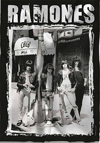 Heart Rock – Bandera Original de los Ramones - Fotografía de CBGB - Tejido Multicolor - Medidas 110 x 75 x 0,1 cm