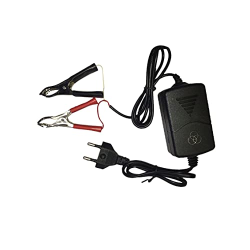 MeterBew1147 Auto Car Motocicleta ATV DC 12V / 1A 15W Cargador de batería Recargable multimodo portátil Universal Tender Maintainer-Black EU