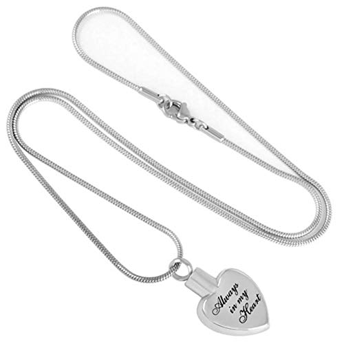 N-B Stainless Steel Human/Pet Memorial Keepsake Locket Always in My Heart Cremation Urn Necklace for Ashes