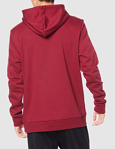 Oakley Pullover Hoodie Relax-Sudadera con Capucha, Hierro Rojo, S para Hombre