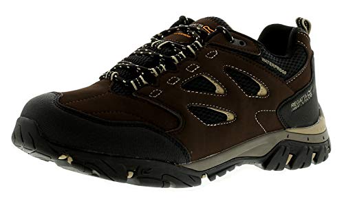 Regatta Holcombe Iep Low, Walking Shoe Mens, (Peat/Gld Fawn 40q), 44 EU