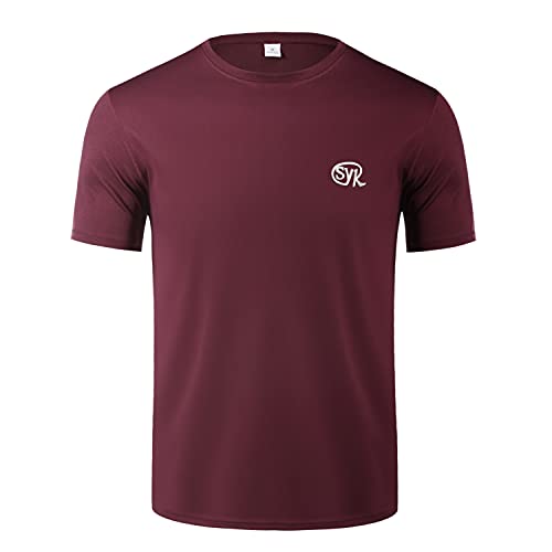 Sykooria Camisetas Manga Corta Hombre de Verano con SYK, Camiseta Deporte UPF 50+ Protección Solar UV,Secado Rápid Top Transpirable&Ligera Shirt Camiseta Cuello Redondo para Correr Fitness Ciclismo